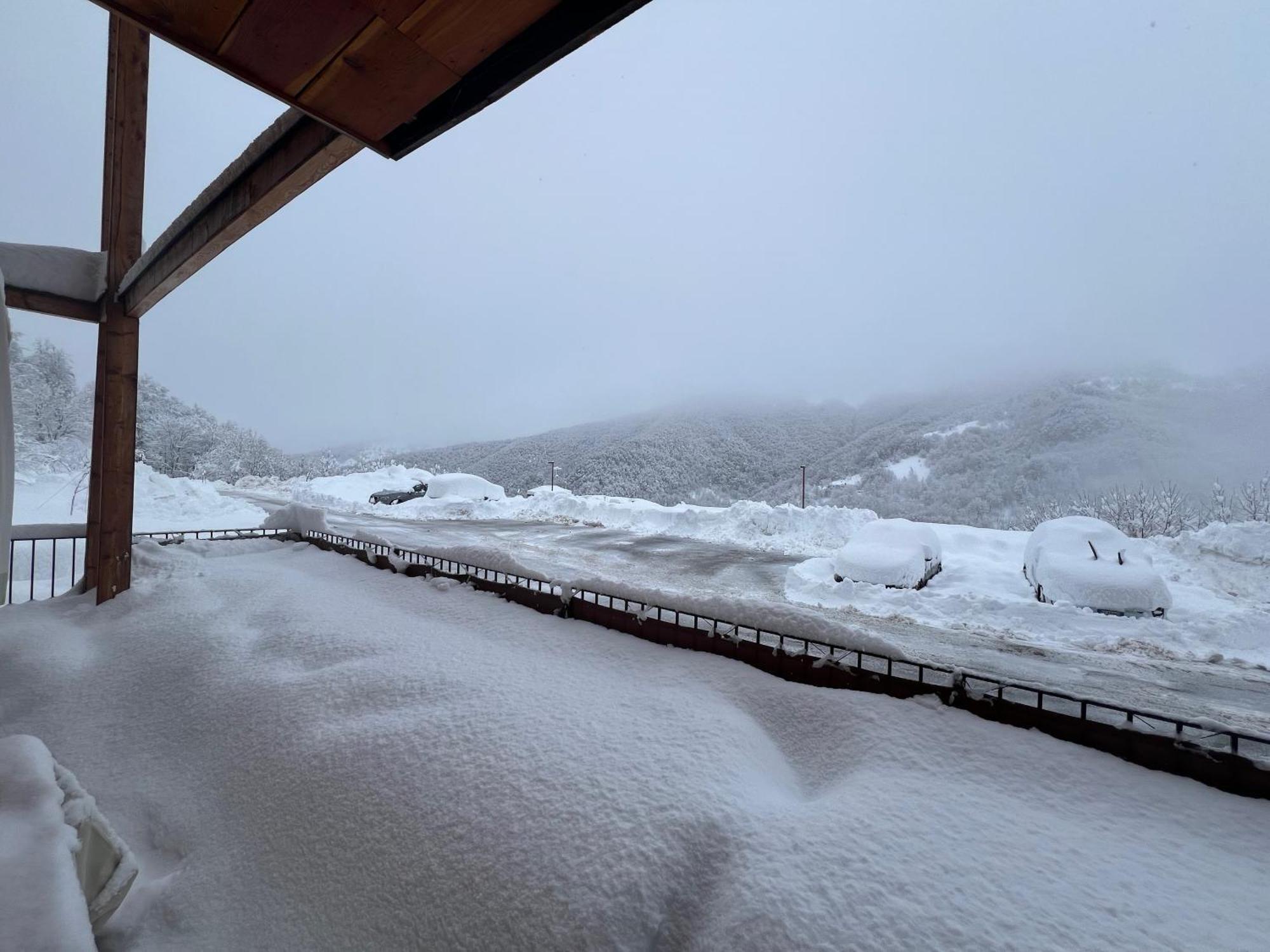 Chalet Bizet - Limone 1400 Limone Piemonte Exterior foto